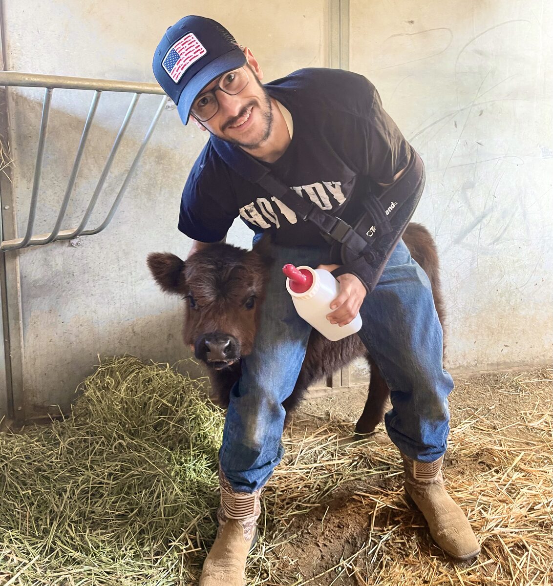 Spencer bottle-feeding a Highland calf